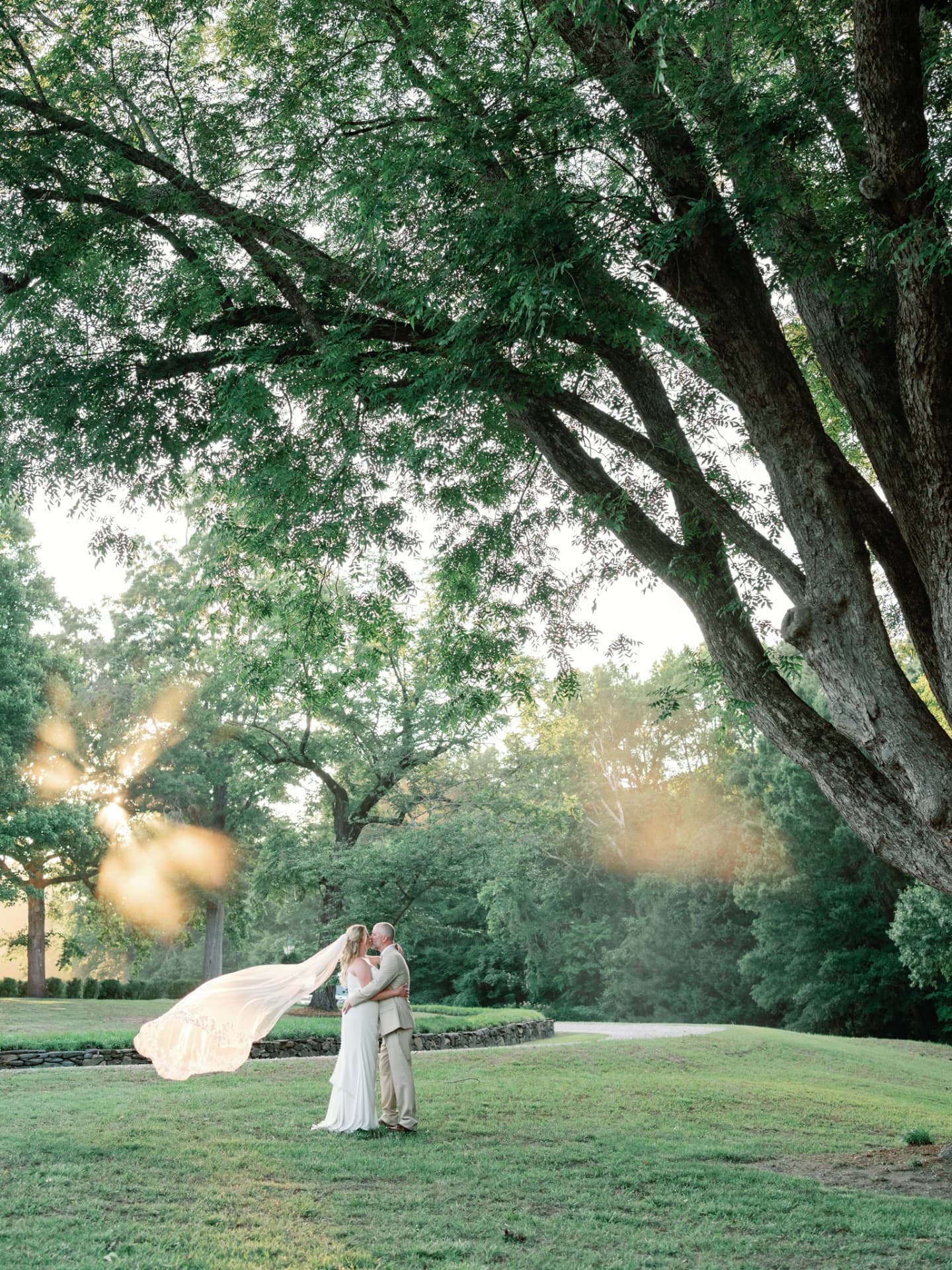 Couple beneath a heritage oak, veil floating in golden light